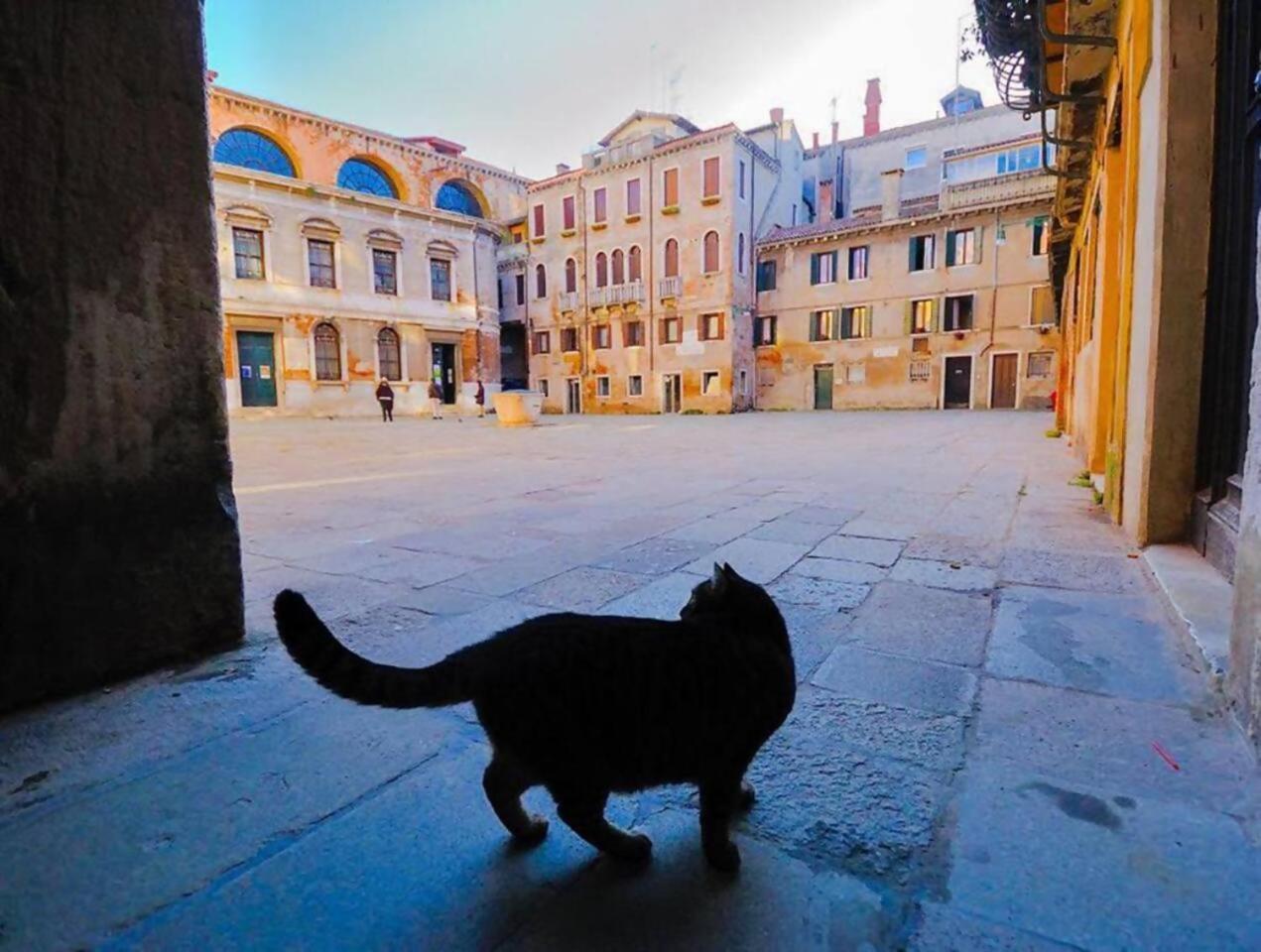 CA'Perdon Appartement Venetië Buitenkant foto